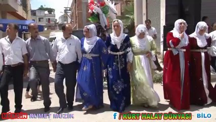 MERSİN DEKİ KÜRT DÜĞÜNÜ DEWETA NÊÇÎRVAN KURÊ HESEN