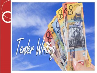 Best Grant Writing And Tender Writing Services