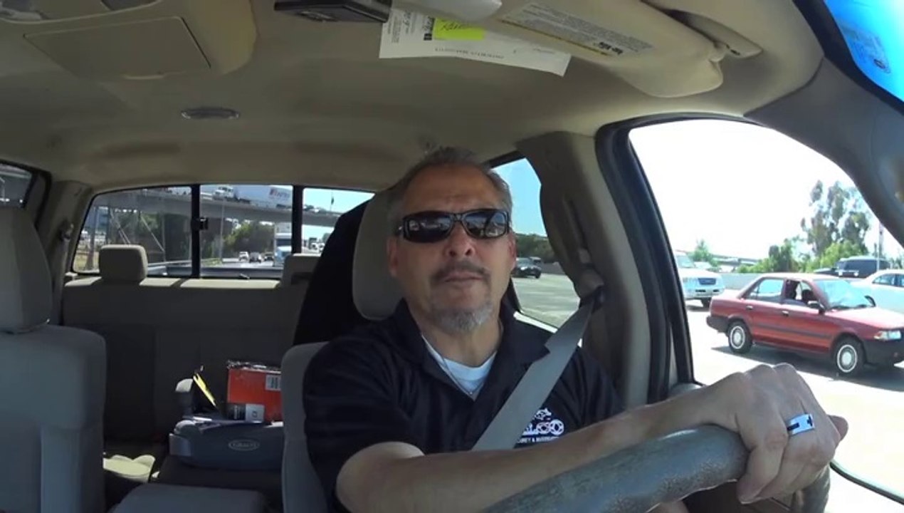 Board and Train vs Group Dog Training