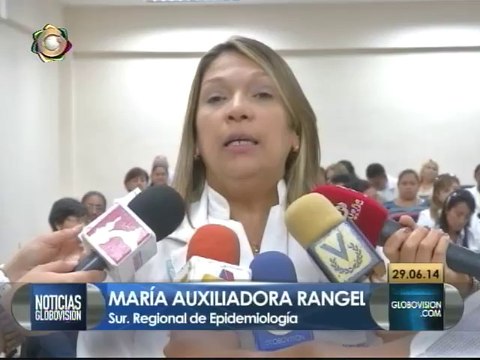 Aconsejan eliminar criaderos de mosquitos para evitar el chikungunya