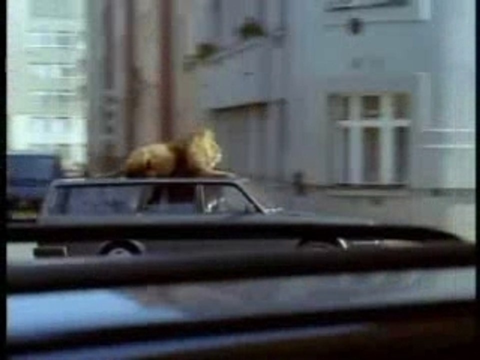 Safari un peu risqué