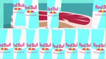 What's Inside  Red Bull Energy Drinks?