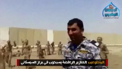 المتطوعين الخنازير الرافضة يسبحون في براز السيستاني