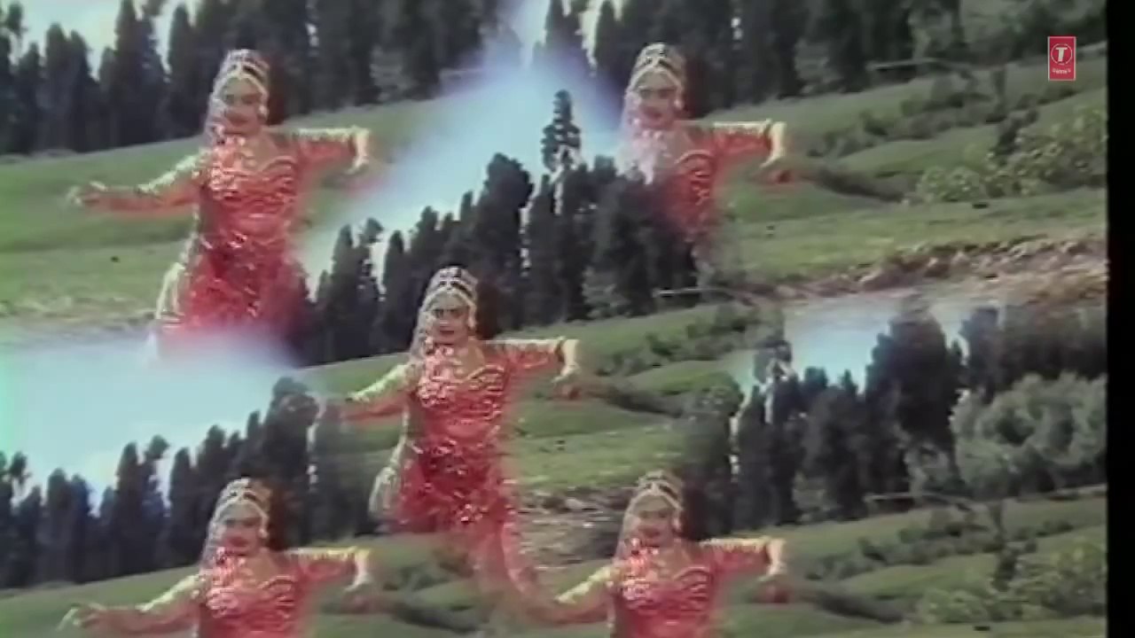 Hamein Aasman Ne Bheja