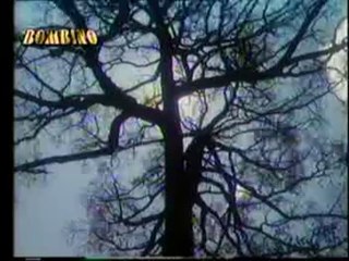 Mera kuch saman tumharey pas para hai