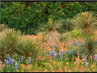 Relax.......and Dwell