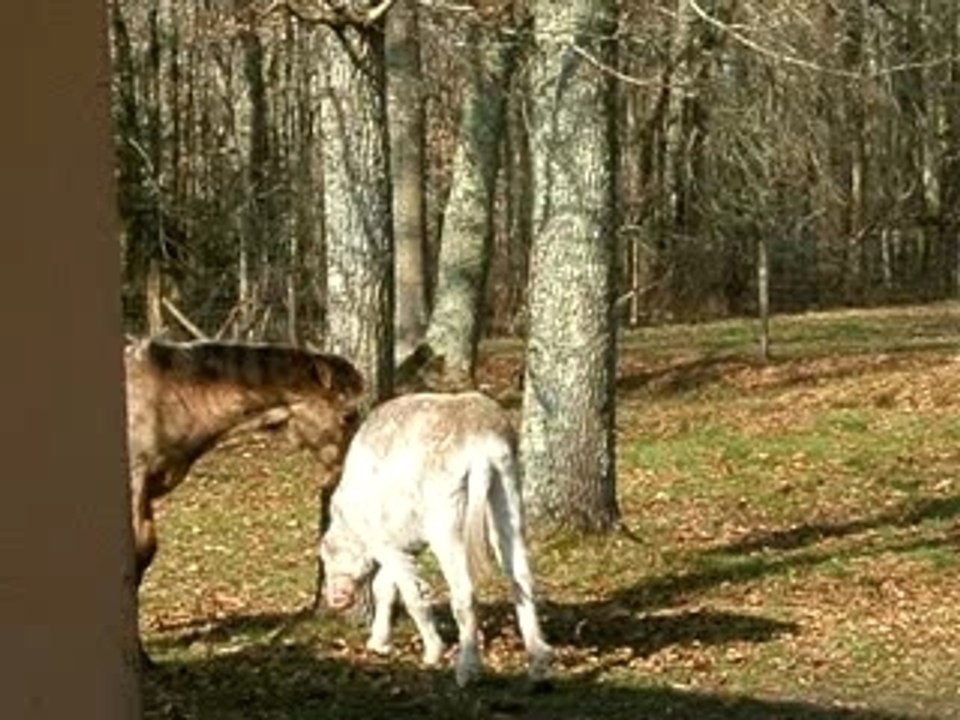 DSCF3812