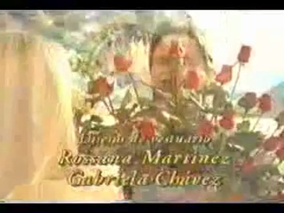 salome intro