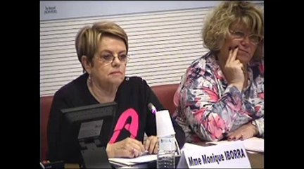 AUDITION DE M. BENOIT GENUINI, ANCIEN MEDIATEUR POLE EMPLOI - Jeudi 13 Décembre 2012