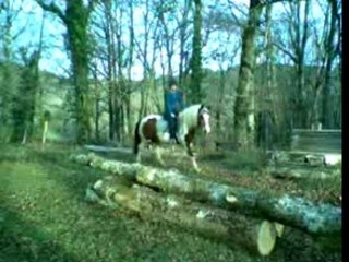 Pirouette bien