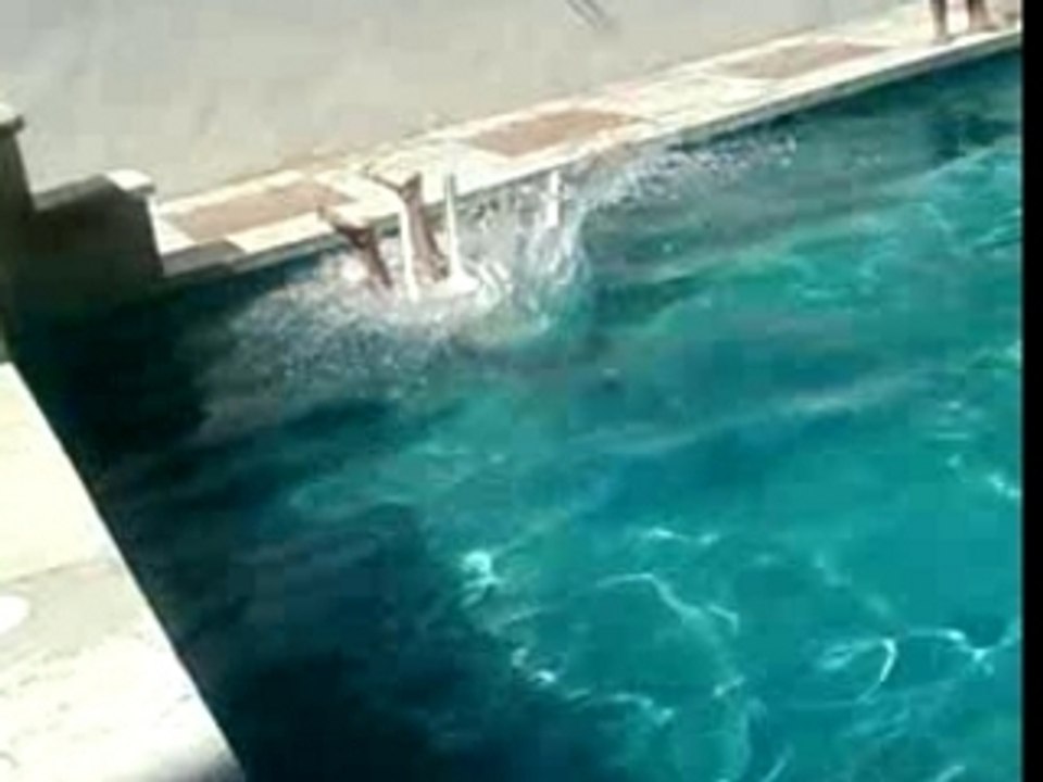 Plongeon 2