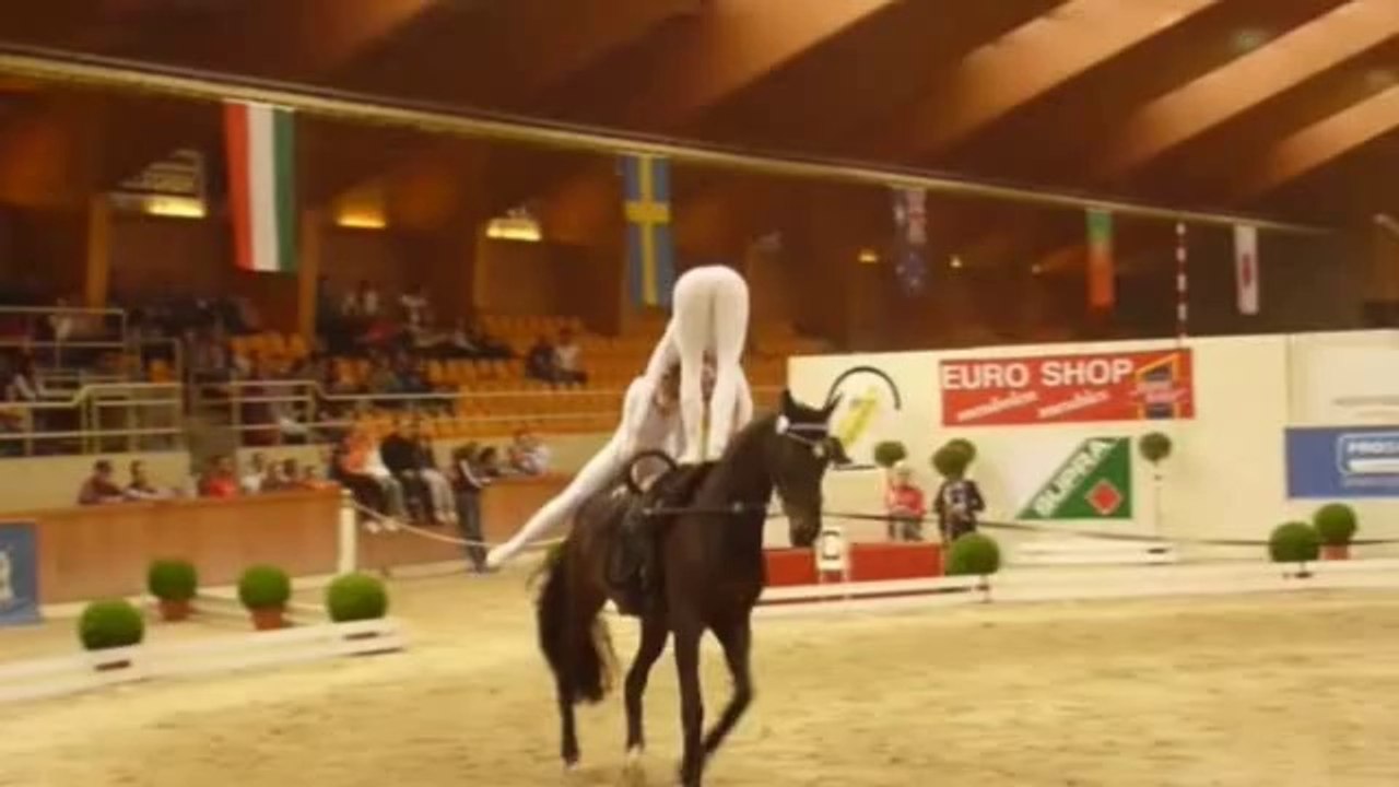 CVI BELGIEN 2014 Team Equus Impressionen