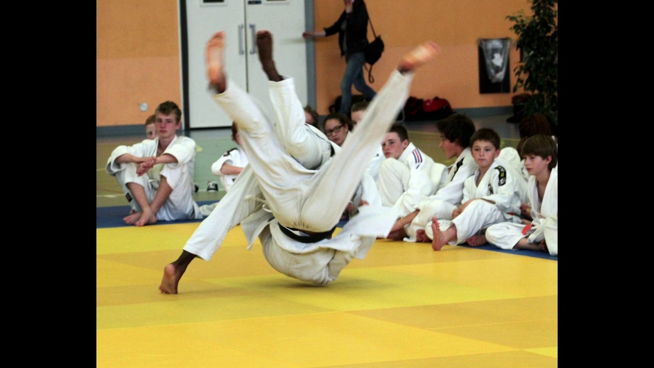 Gala de judo à Auxerre