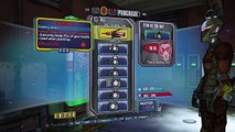 Borderlands 2 - Gameplay Walkthrough - Part 29