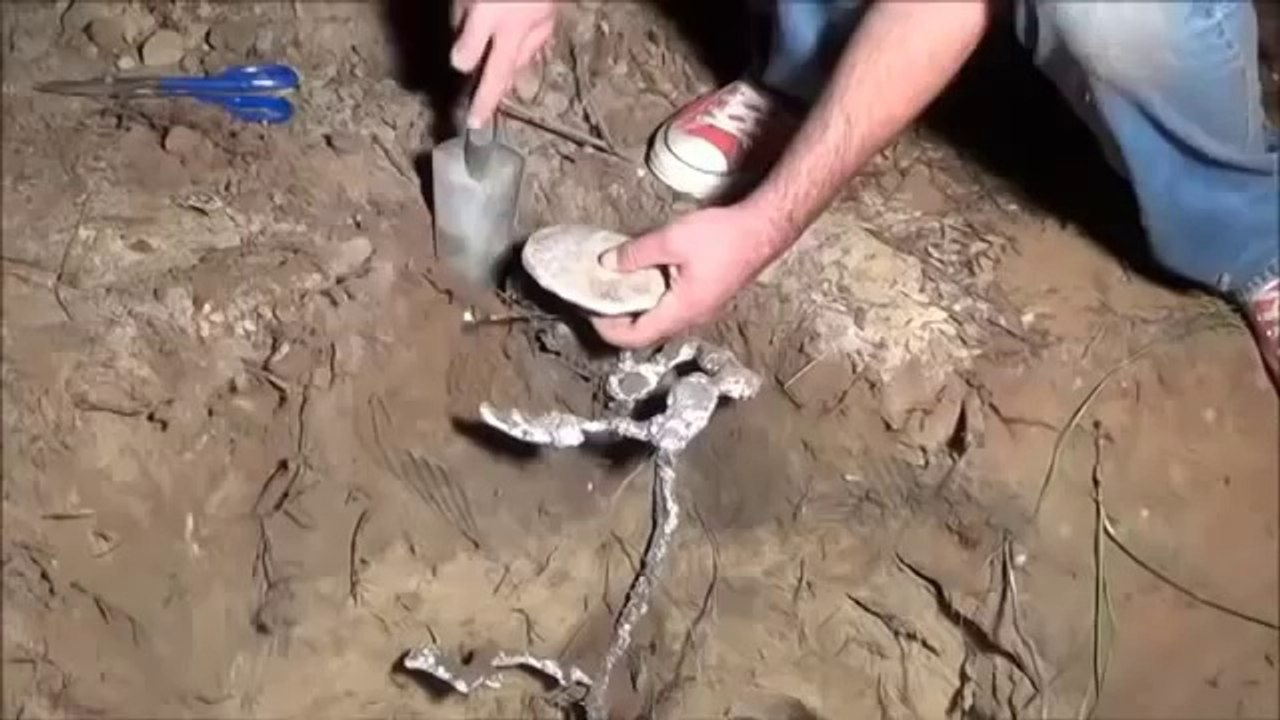 Marangoz Karınca Kolonisi Yuvasına Aliminyum Dökülürse