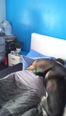 Arkadas Uyandirmanin En Eglenceli Yolu