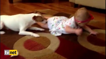 Sevimli Bebeğe Köpekten Emekleme Dersi