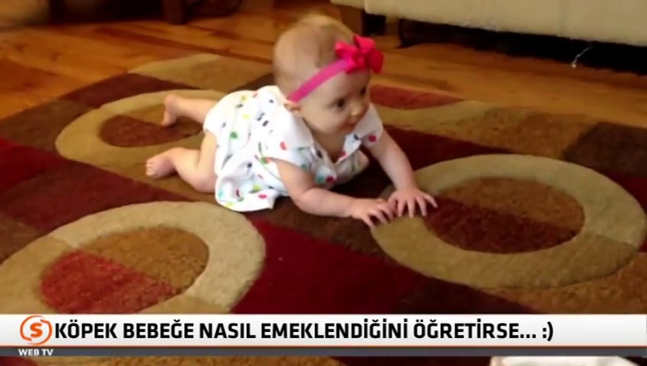 Köpek_bebeğe nasıl emeklendiğini öğretirse...