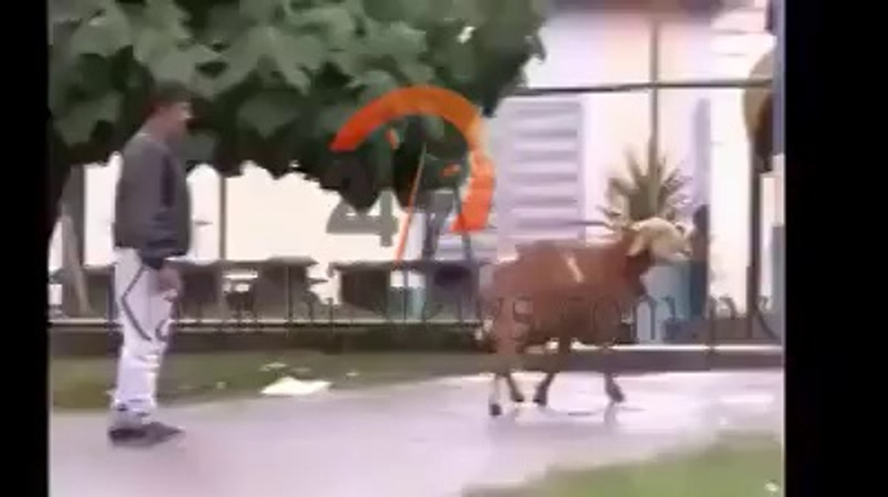 Bara Zalim Bakra hai