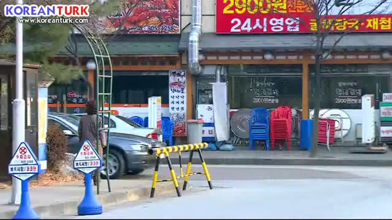 bov13_clip0