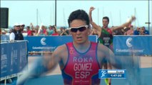 Triatlón - Series Mundiales: Gómez Noya se impone en Chicago