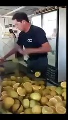 Couper des citrons comme un Ninja!