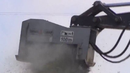 How to destroy a tree in 2 sec : forest excavator equipment!