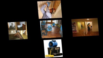 Water Damage Aventura Service | Company for Home Removal & Repair