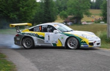 Rallye Ain Jura 2014 N°1