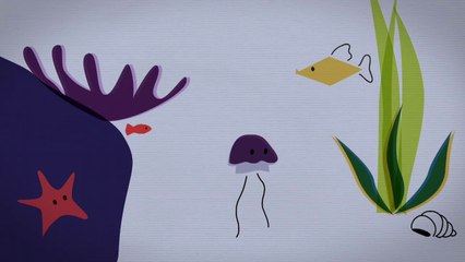 L'acidification des océans