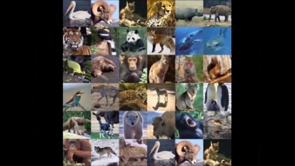 Pollution de l'air et réchauffement climatique