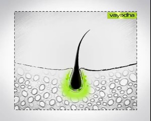 Vayodha Hair Care Oil - Clinical Explanation