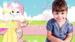 Projeto para retrospectiva My Little Pony 50 fotos