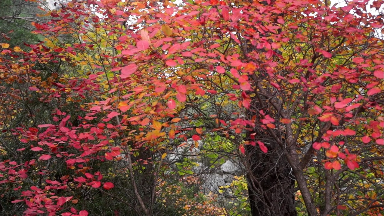 Randonnée dans le Verdon