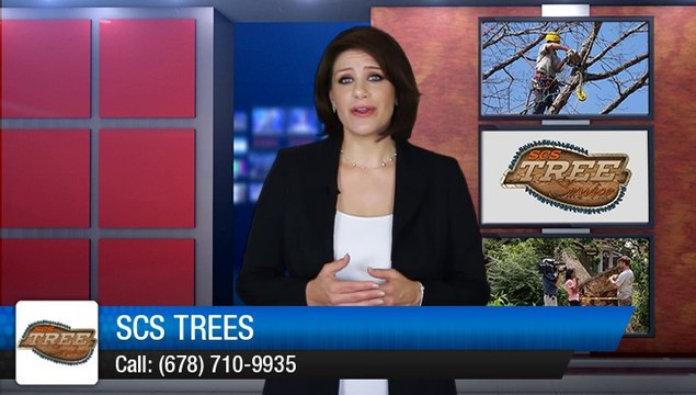 Top Tree Service Acworth GA - SCS Trees Amazing Five Star Review