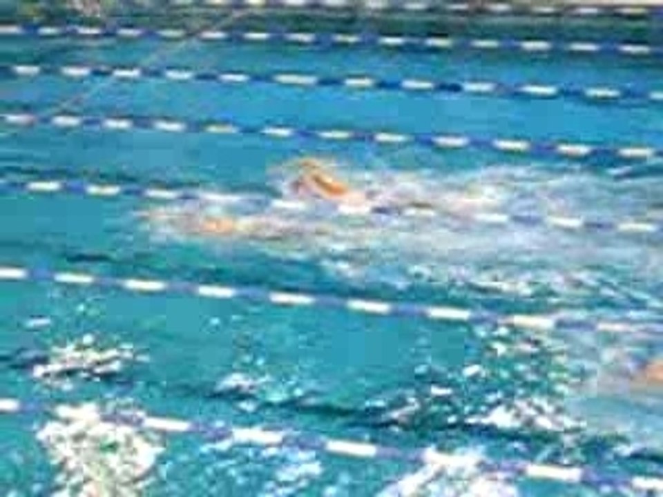 championnat francophone natation
