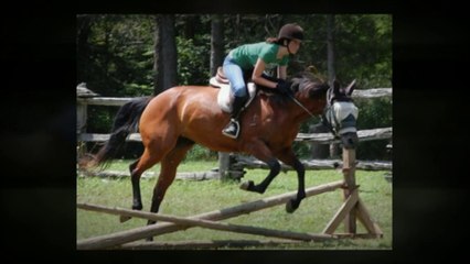 Fun Summer Activities