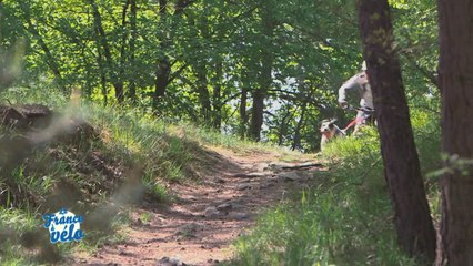 La France à vélo : maillot qui a du chien