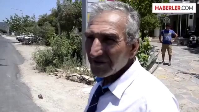 Kamyonet yayaya çarptı -