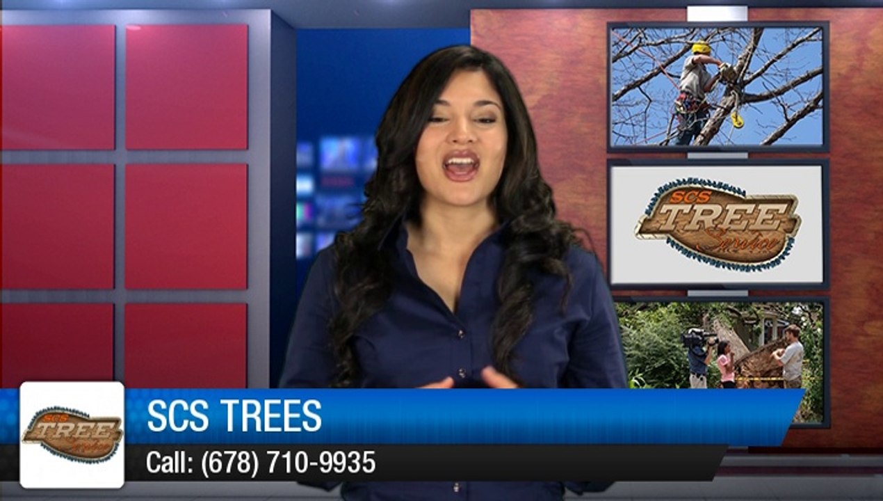 Marietta Tree Service Company - SCS Trees Acworth Remarkable 5 Star Review by Lita -.
