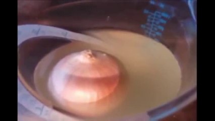 How to Charge an iPod using electrolytes and an onion!