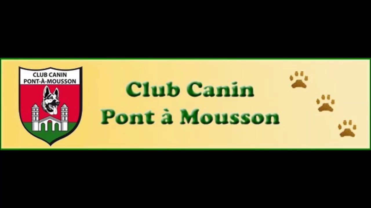 Les bénévoles du club canin de PAM