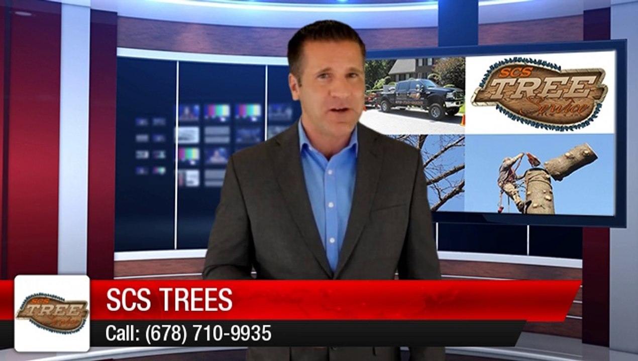 Acworth Tree Service Experts - SCS Trees - Great 5 Star Review by Steve in Acworth GA