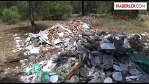 Adrasan'ı Piknikçi Değil, Çöpler Yaktı İddiası
