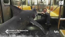 Sharknado 2 le retour des requins dans une tornade géante