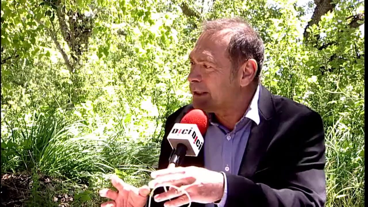 Invité D!CI TV : Bernard Jaussaud, vice-Président du Conseil Régional