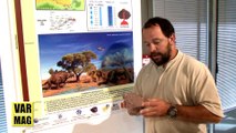 Museum d'histoire naturelle de Toulon et du Var - expo 2014 : roches et littoral du Var
