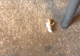 Young Girl Directs Her First Action Movie