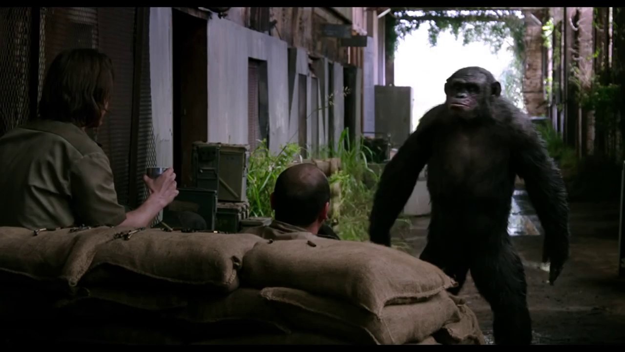 La Planète des Singes : L'Affrontement - Extrait "Koba" (VOST)