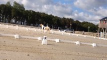 concours dressage club 3 grand prix landivisiau 29 juin